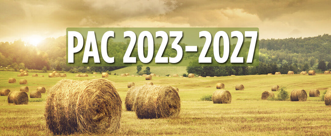 Protagonismo de la Agroecología y la Agricultura de Carbono en la PAC 2023-2027