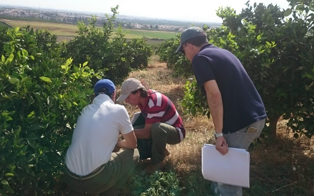 Transición Agroecológica: Reinventarse en tiempos de incertidumbre