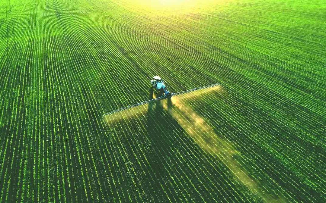 Los productos ecológicos, mayor garantía para una alimentación libre de tóxicos