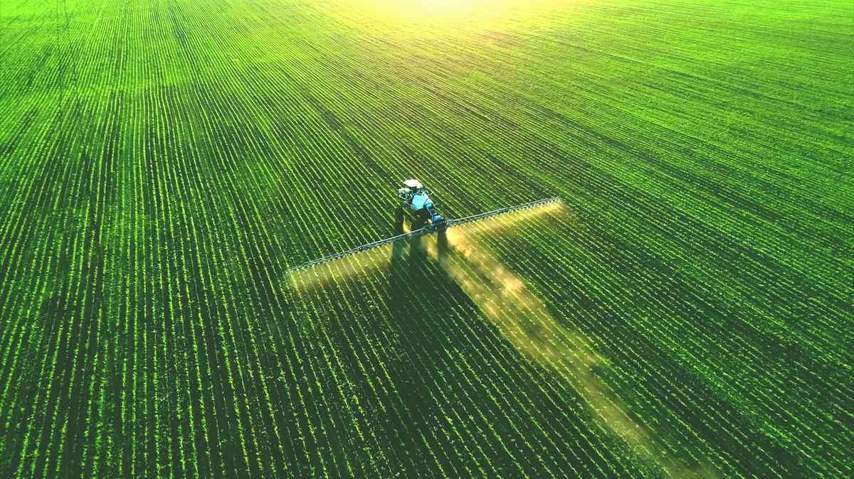 Los productos ecológicos, mayor garantía para una alimentación libre de tóxicos